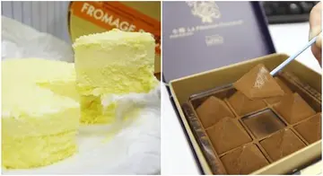 【新店直擊】北海道人氣雙層芝士蛋糕登陸中環  一個蛋糕兩種口感（有片）  