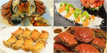 邂逅蟹王  10月就是要任食大閘蟹  5個大閘蟹搵食點（有片）