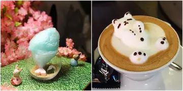 Adorable Cafes in Hong Kong