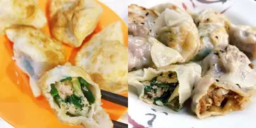 【West口west脸eat好west】有乜好饺？细数香港好食饺子店（上）