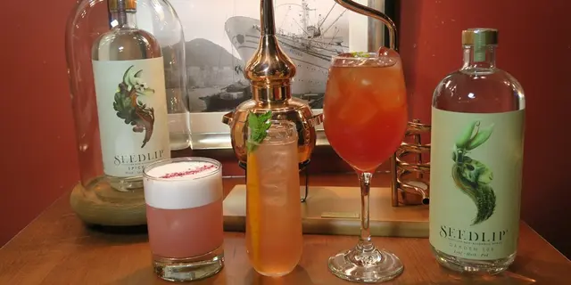 全球首創無酒精蒸餾酒品牌登陸香港 酒精敏感者福音(有片)