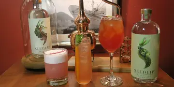 全球首创无酒精蒸馏酒品牌登陆香港  酒精敏感者福音（有片）