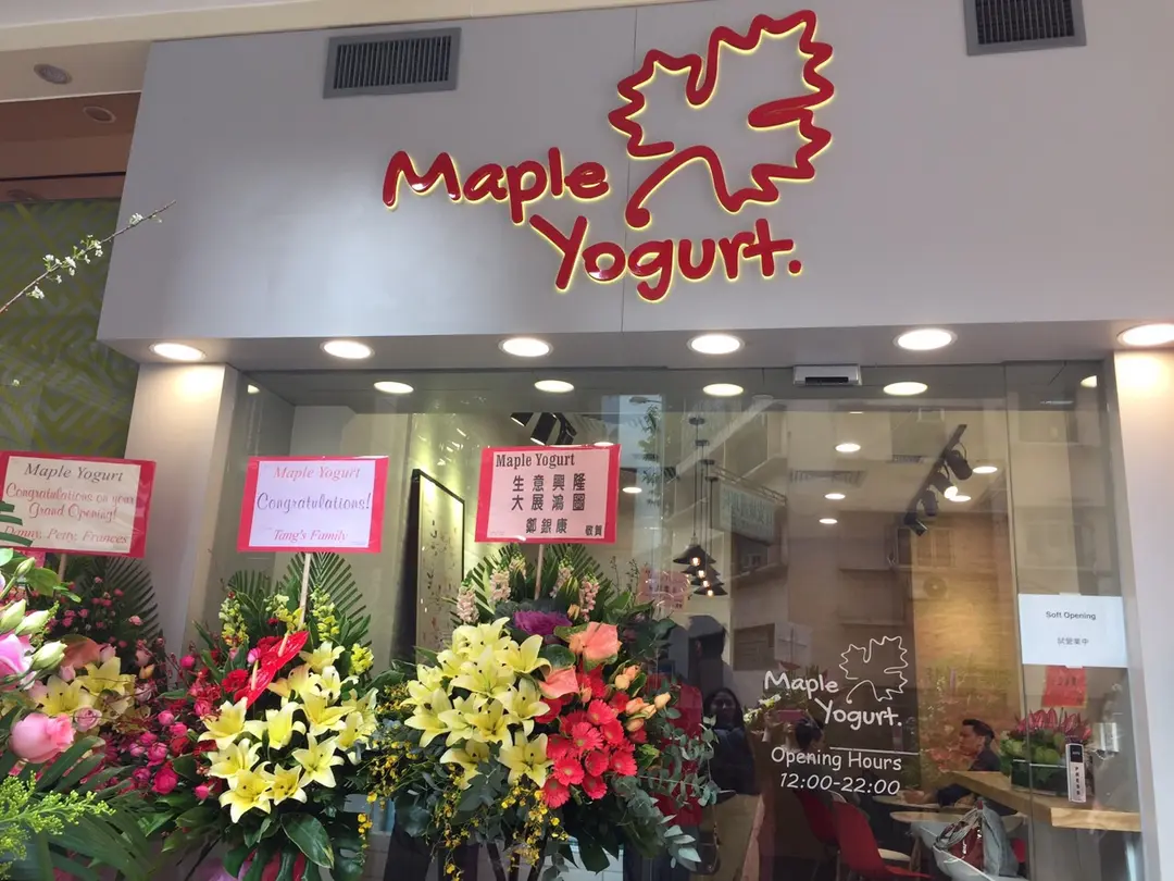 Maple Yogurt Hong Kong Style Ice Cream/yogurt in Western District