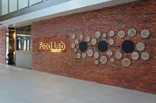 Food Lab