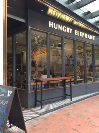 Hungry Elephant