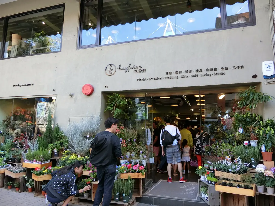 花粉熱