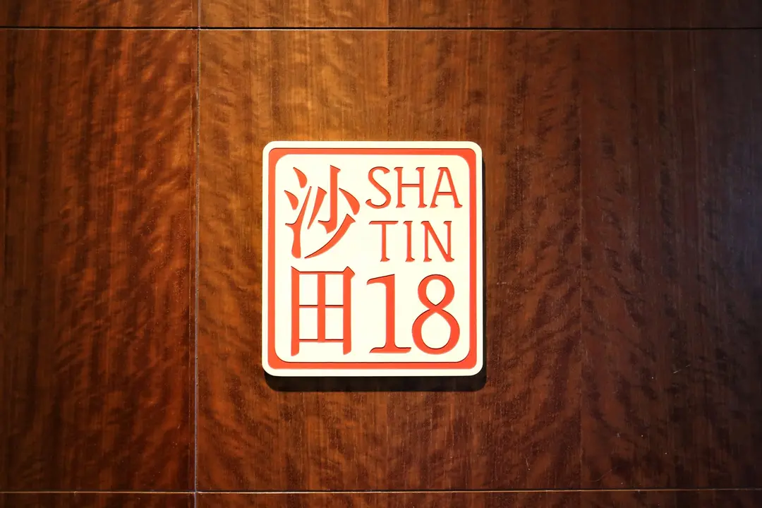 Sha Tin 18
