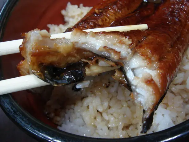 鰻魚夠晒肥美