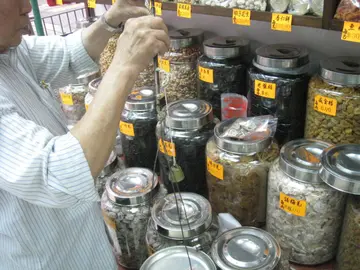 现今世代的珍品