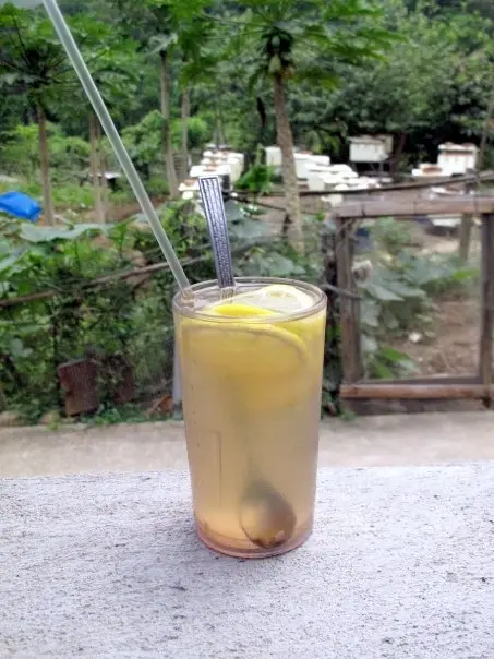 兩小時辛苦的腳場後，對著蜂場飲正宗檸蜜，寫意！