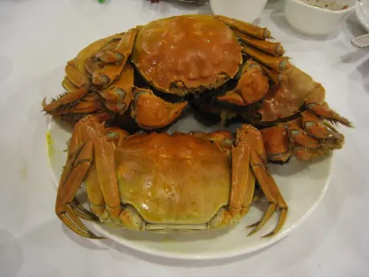 熱辣辣..有糕..有黃..有肉...不錯