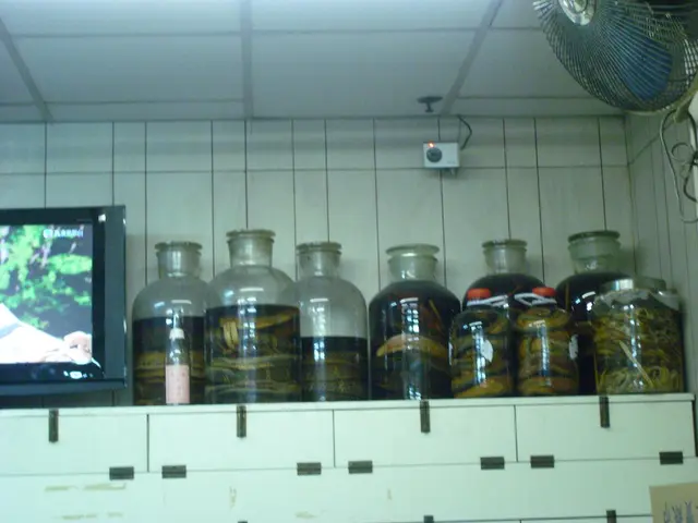 店內放滿了蛇酒