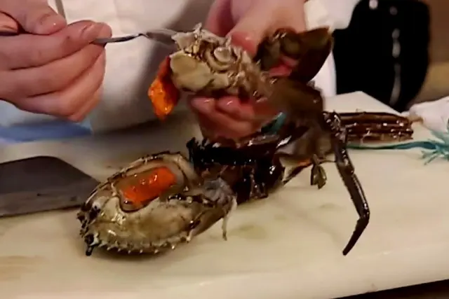 澳洲巨蟹好大隻!D蟹膏都好正