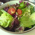 正 green salad 