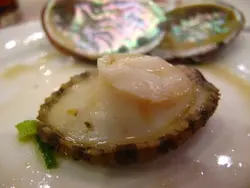 九孔鲍鱼仔