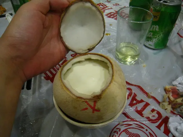 椰皇燉奶獨照