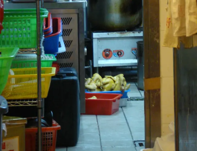 Avoid chicken!! on the floor