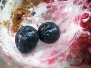 Honeysweet blueberries