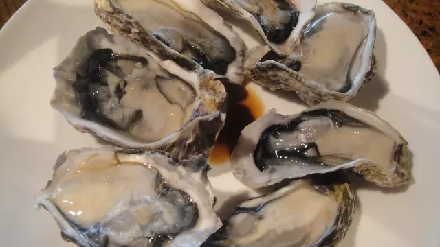 脹卜卜的生蠔‧滋味可口