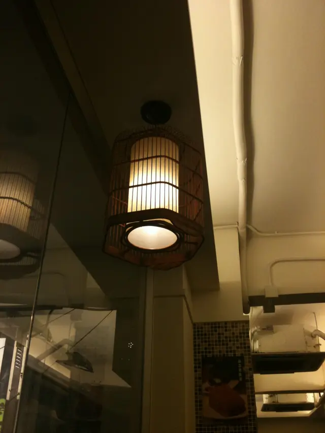 精緻的鳥籠燈飾