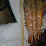 差不多有竹筷子長度的串燒蝦