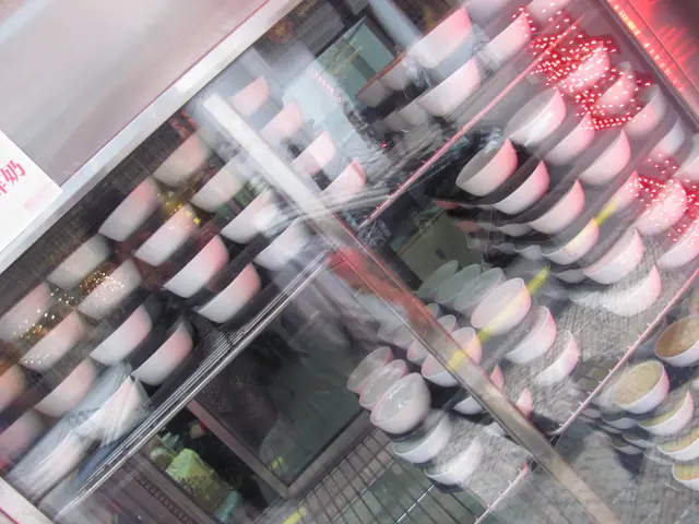 有不少做好了的凍食燉品呢