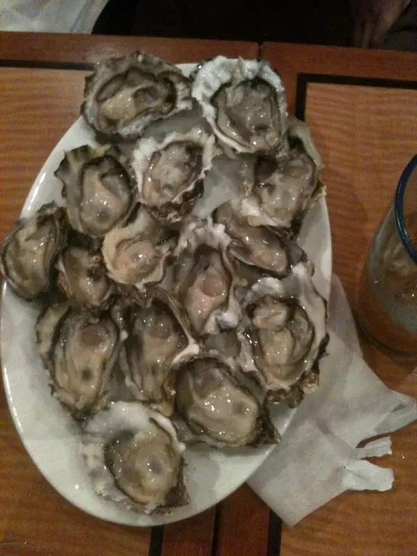 一碟十五隻生蠔, 正呀...