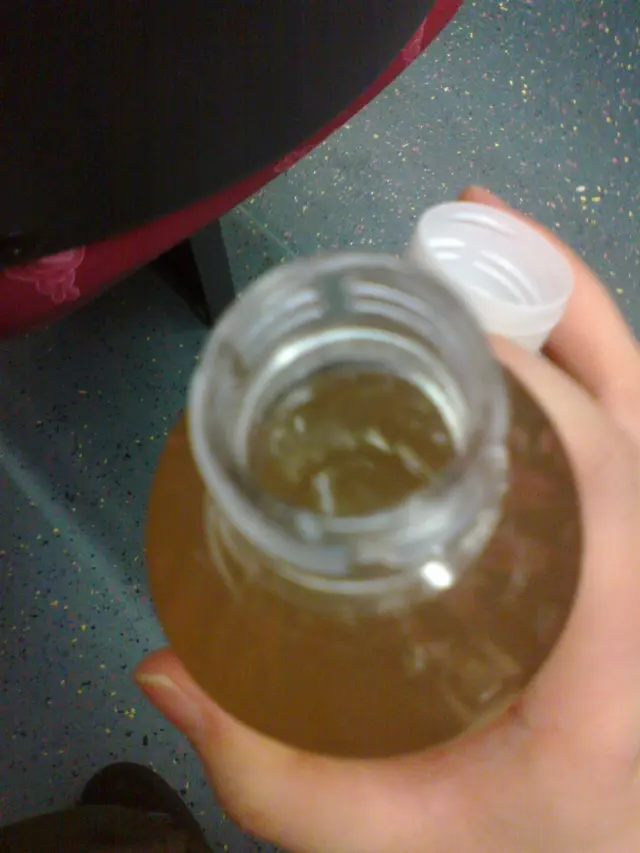 自家製南北杏雪梨水近鏡