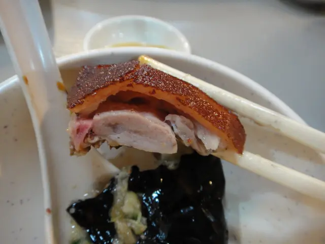 真的皮脆肉嫩,不過肉是厚了點,很快就吃滯了。