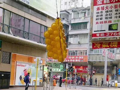 好易認!