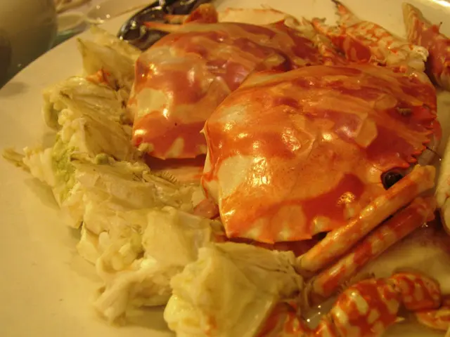 清蒸肉蟹,啖啖肉