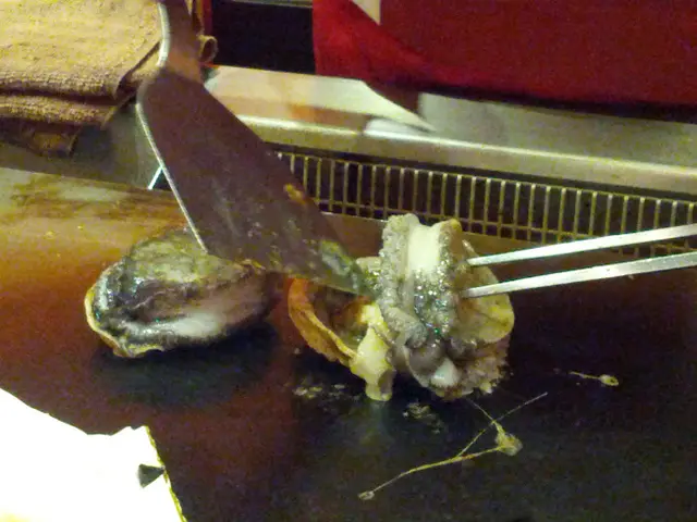 活鮑魚