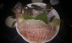 目张