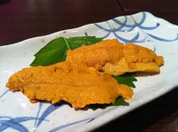 海胆刺身