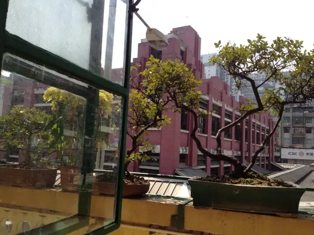 靠窗卡位可遙望到紅街市