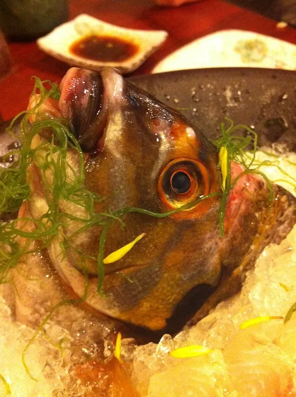 三刀魚的頭,沒騙你吧?