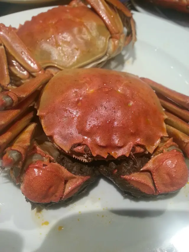 十至十一月份吃自助晚餐送大閘蟹