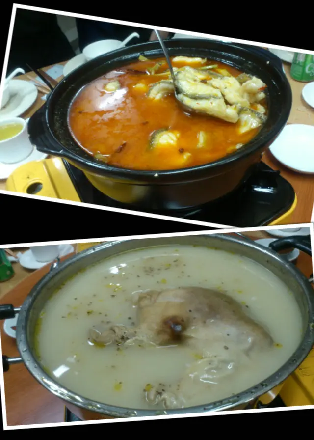 水煮海龍躉/ 沙參玉竹豬肚包雞