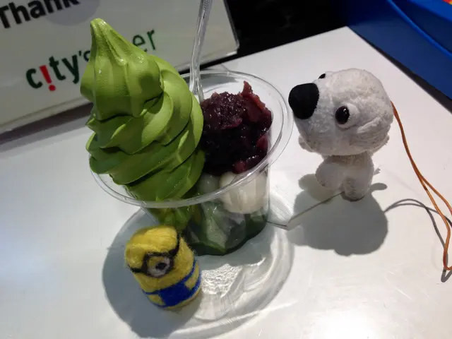 小丸子+紅豆+雪糕=開心