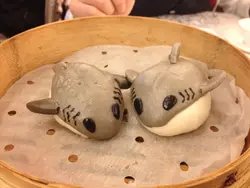 沙魚但一隻爛左