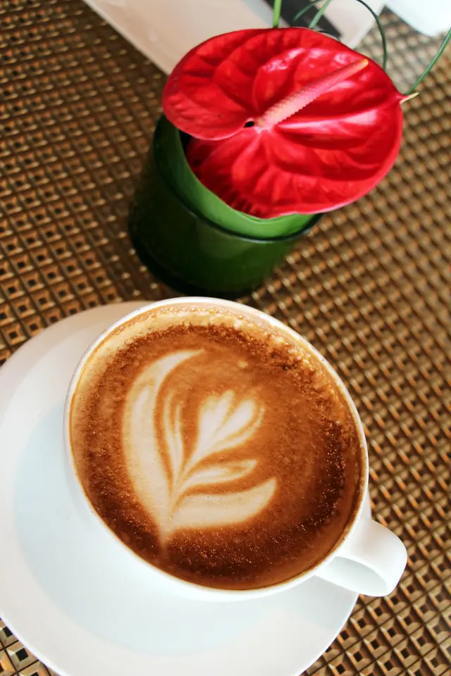 Caffe Latte