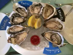oysterssssss