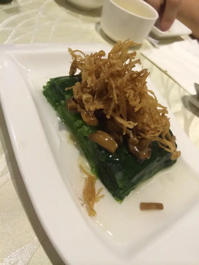 金枝玉葉靈芝菇