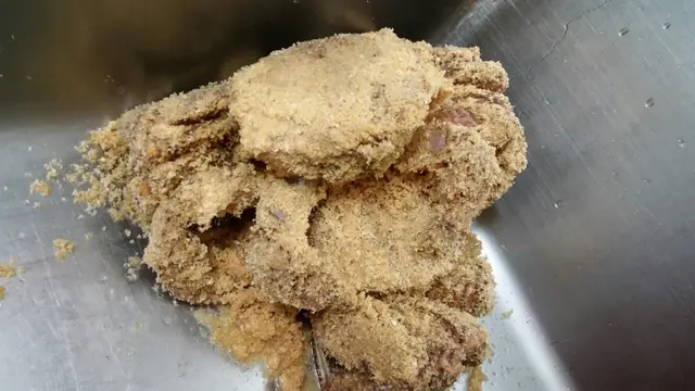 滿佈木糠嘅活毛蟹
