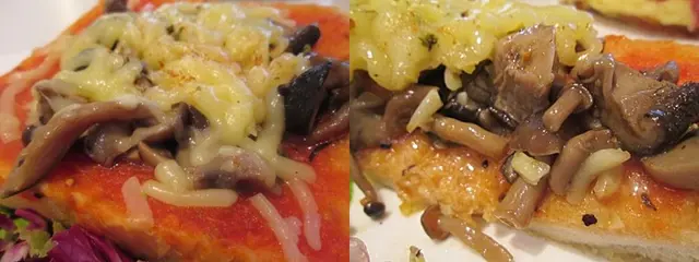 舖滿野菌