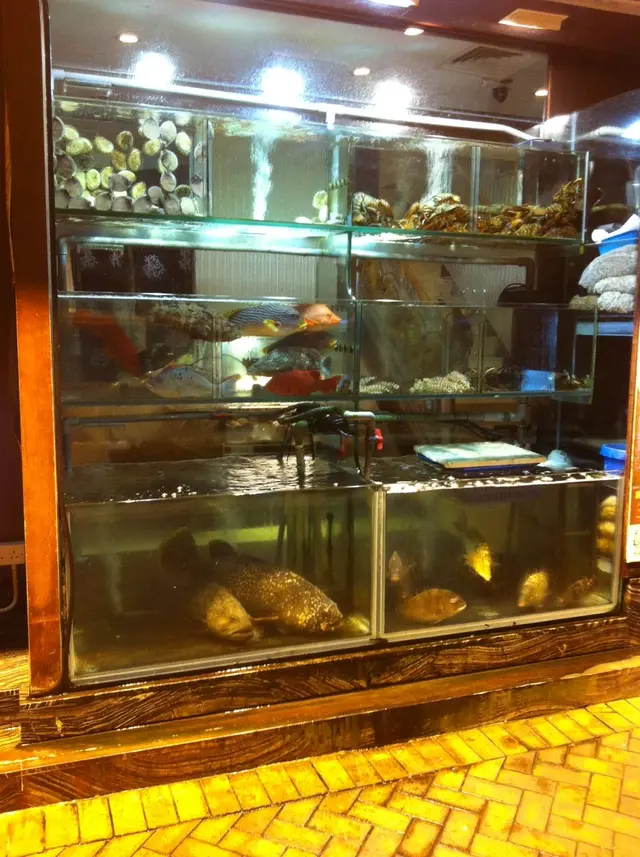 海鮮缸