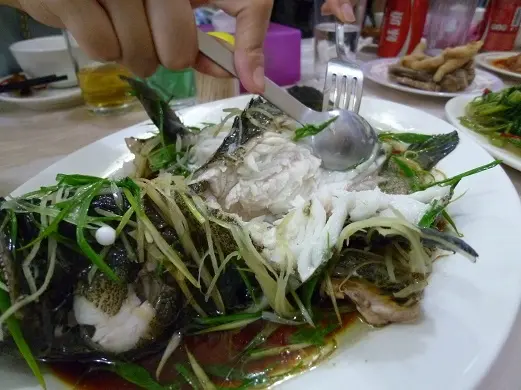 古法醬汁蒸老虎斑