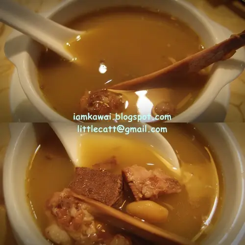 龍圖老火湯 赤小豆扁豆豬骨老黃瓜湯