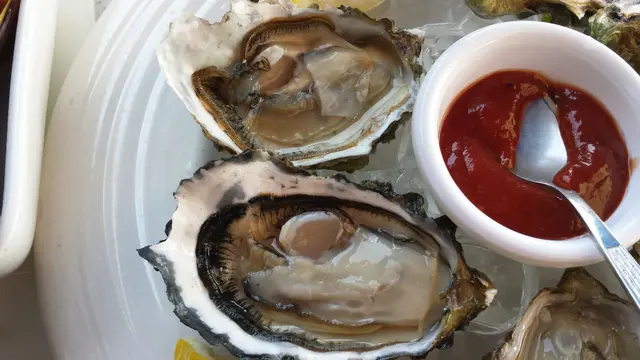 Pacific Rock Oysters