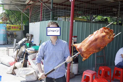 這東西超重, 一隻手Hold 不住, 應該有 8-10KG 吧